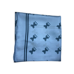 Interlochen Silk Accessories
