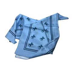 Interlochen Silk Accessories