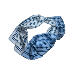Interlochen Silk Accessories