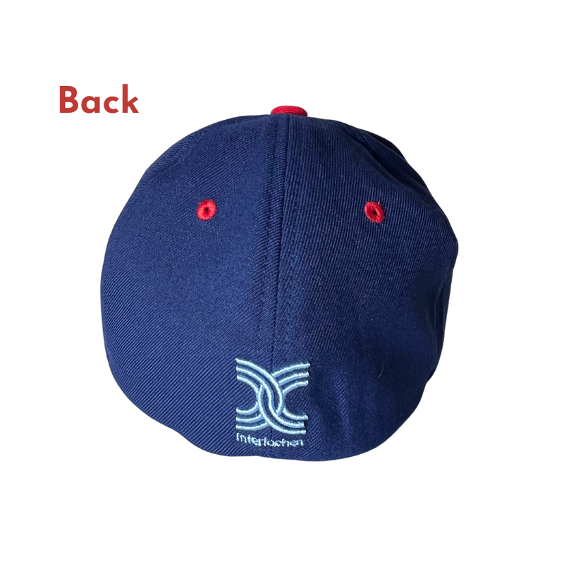 Fighting Blueberry Stretch Hat