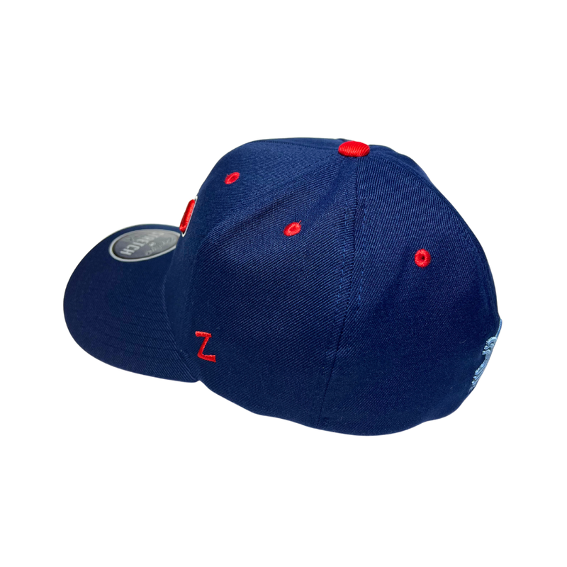Fighting Blueberry Stretch Hat