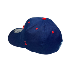 Fighting Blueberry Stretch Hat