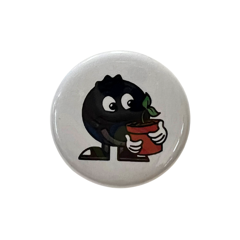 Blueberry Button