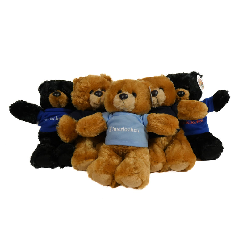 group of 10inch bear in tshirt