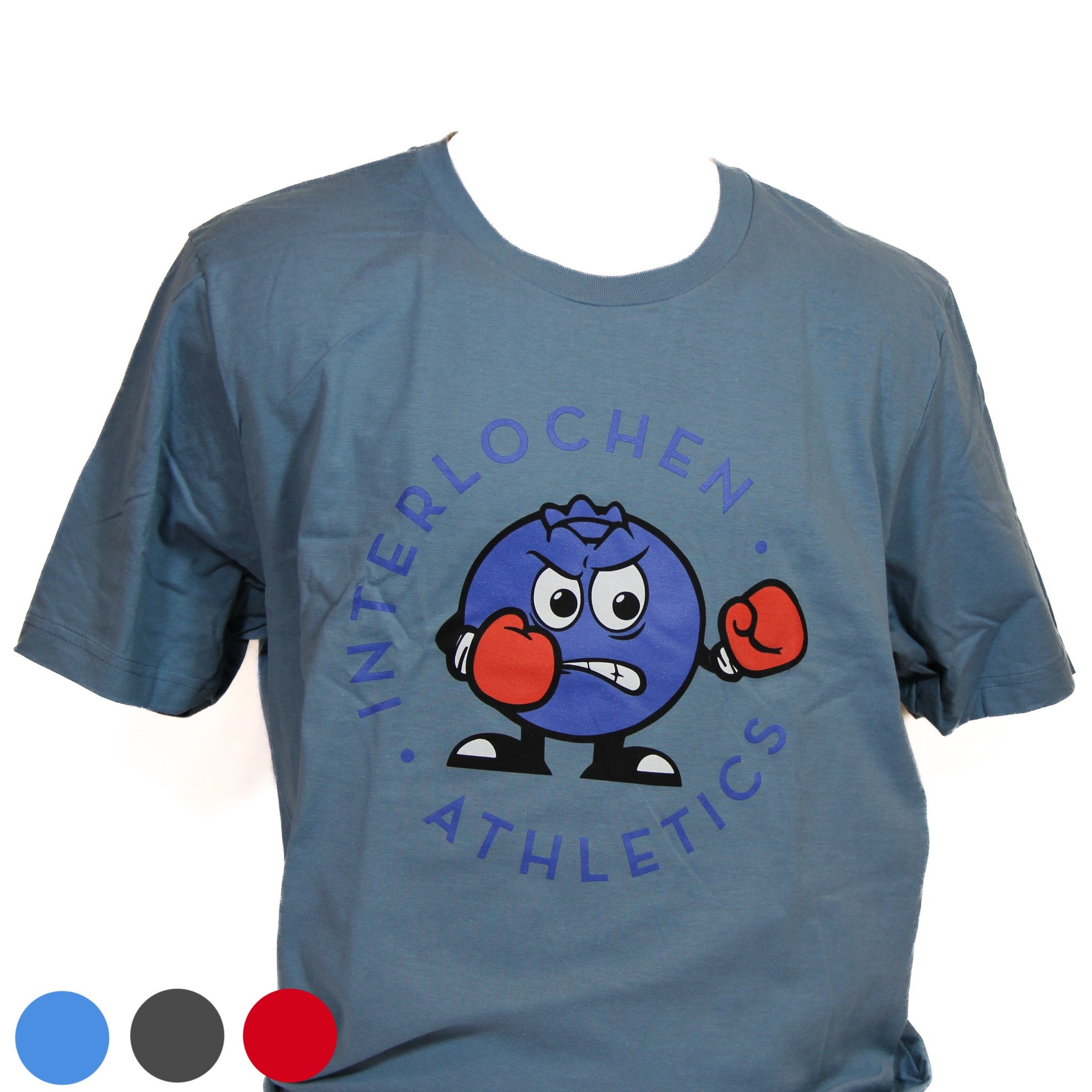 Blueberry Fighting by Interlochen | T-Shirt Scholarshop Tultex